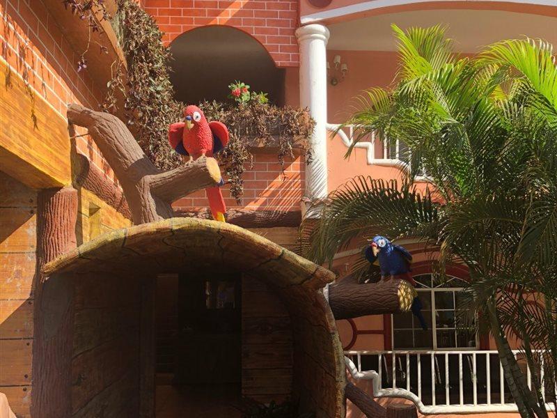 גואטמלה Hotel Residencia Del Sol מראה חיצוני תמונה